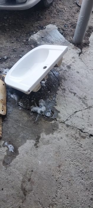 Раковина целая продам