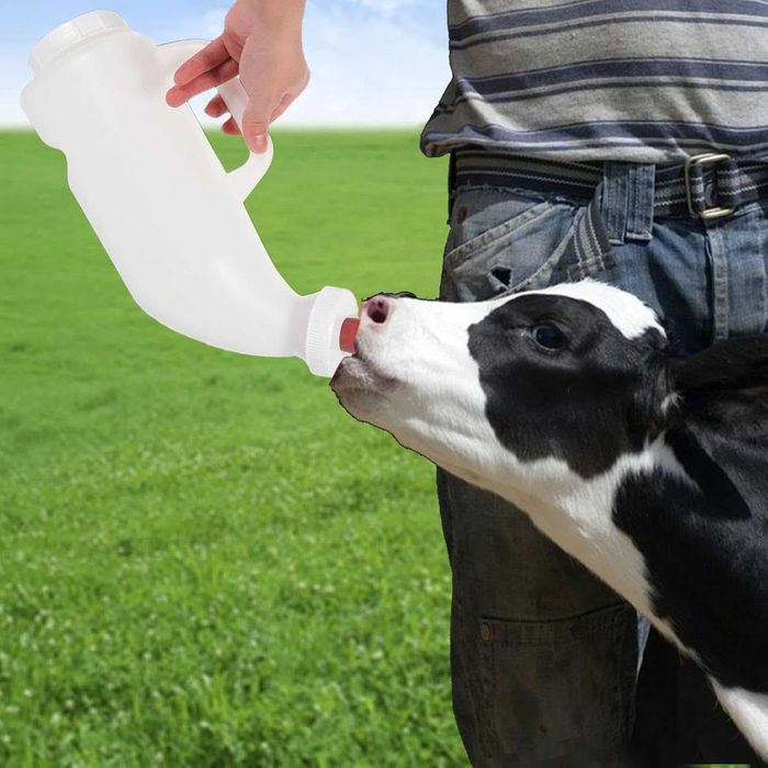Recipient pentru lapte la vitei cu biberon. 1L sau 2L Noi!