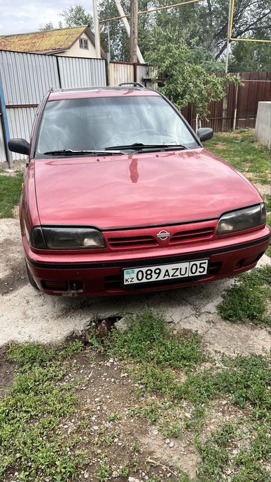 Продам живой нисан