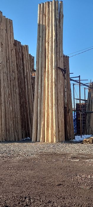 optim TERAK kuruglak