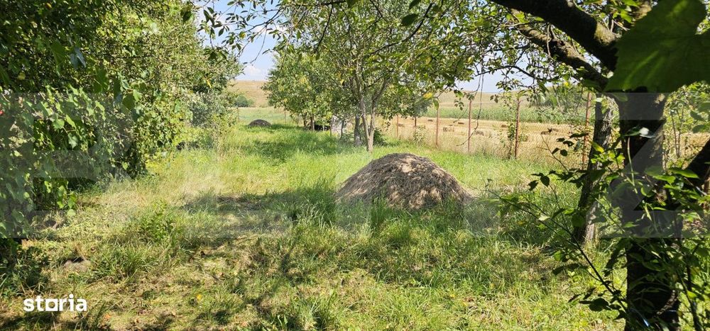 Teren extravilan de vanzare, 4000 mp, zona Simeria