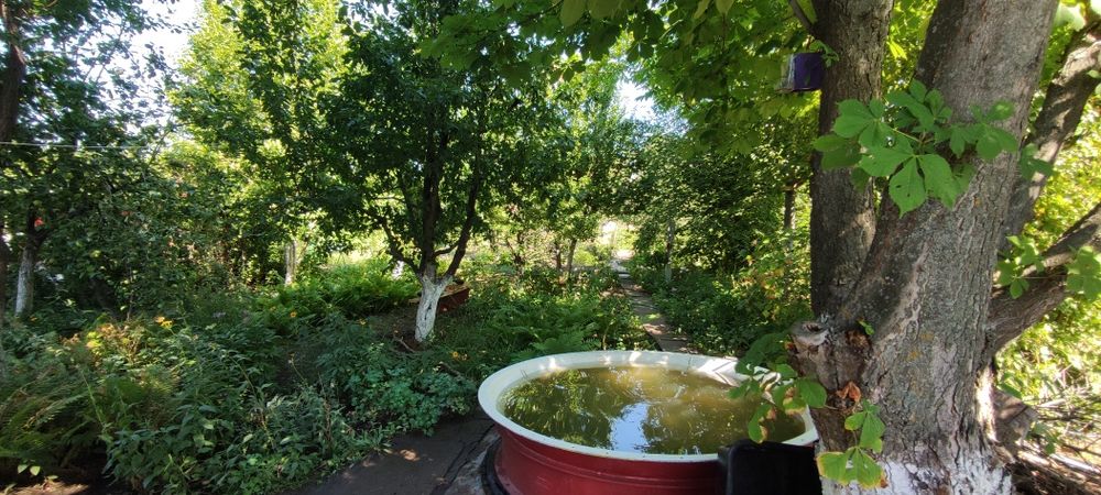 Продам Дачу в содовом обществе Восток