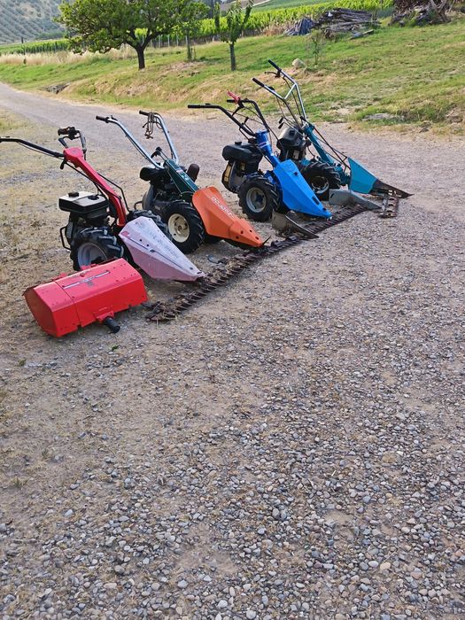 Motocositoare bcs, Grillo, Goldoni etc