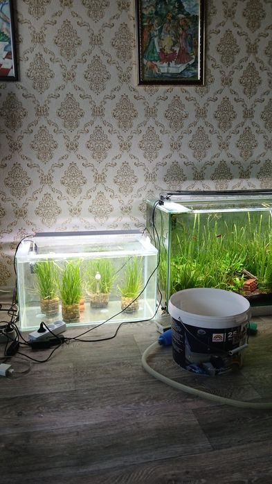 Продам аквариум 60 л с рыбками