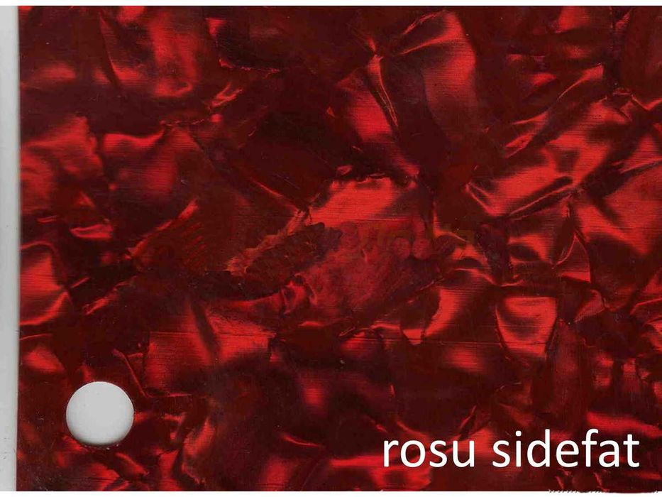 Vand coala celuloid sidefat acordeon -  Italia