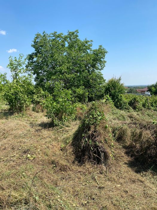 Curatam sau defrisam  terenuri