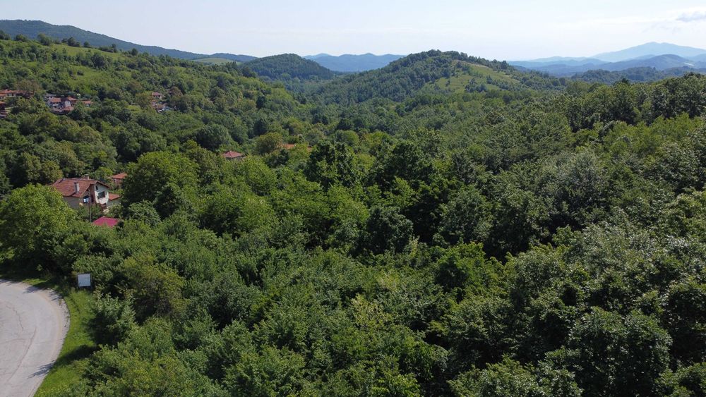 Продава се Парцел в Троян - 3074 кв.м за 6 €/кв.м - Снимка #7