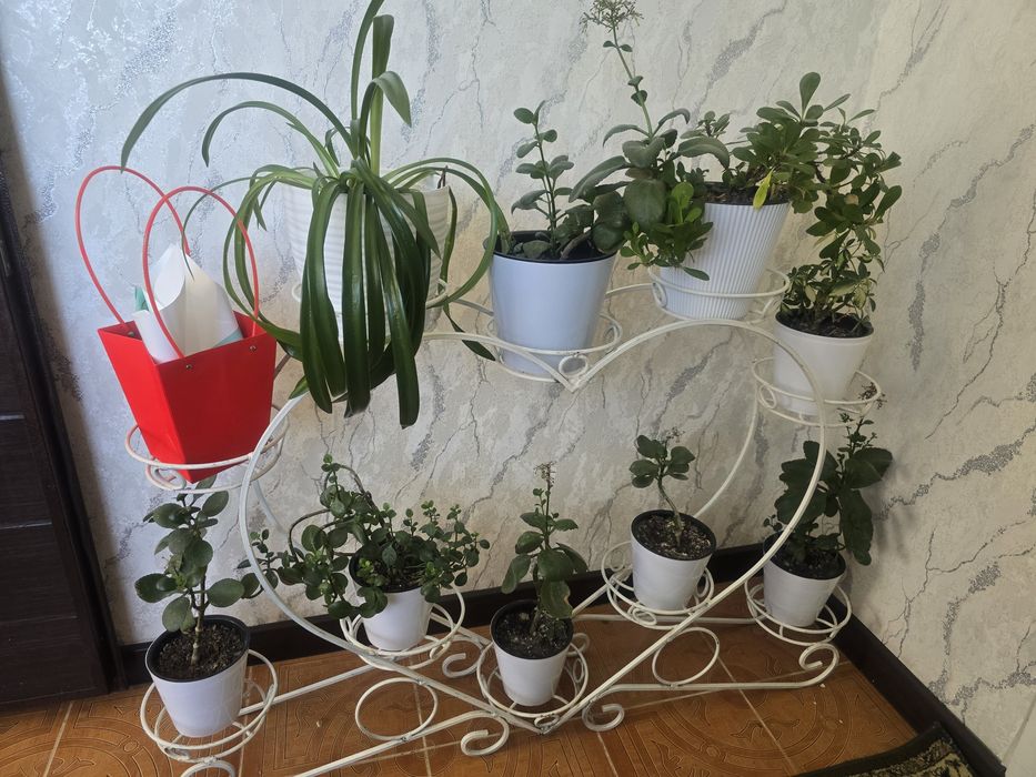 Подставка для цветов