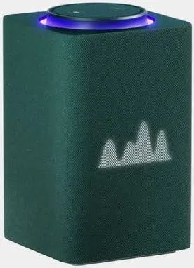 Яндекс станция АЛИСА ( zigbee )