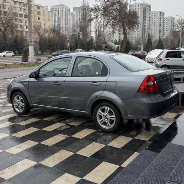 Мокрый Асфальт Nexia 3 Evro 2022