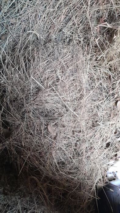 Шоп сатам тюковой