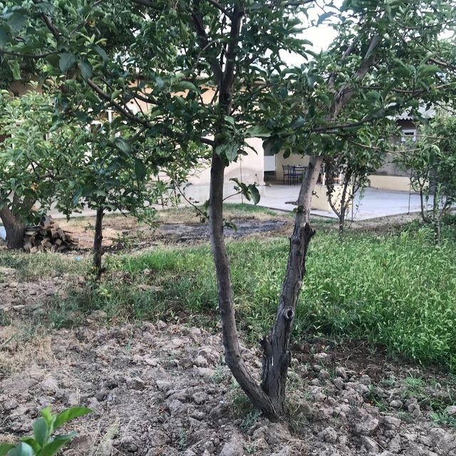 Ховли сотилады...