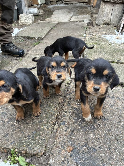 Бараци от работещи родители