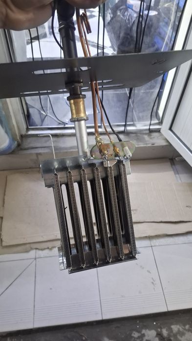 Апок итальянский