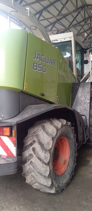 Yaguar 850 sotiladi sezonga tayyor