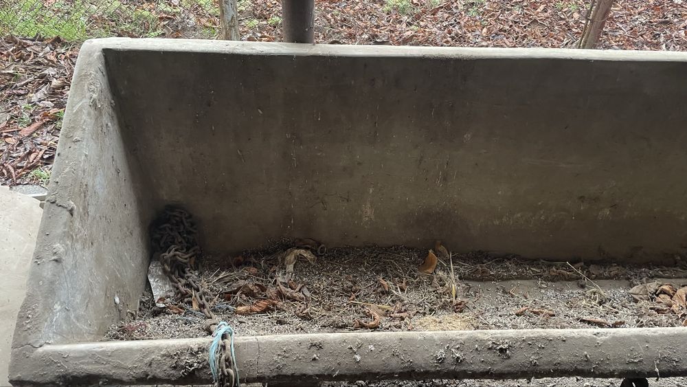Valau/ Iesle din beton de vanzare