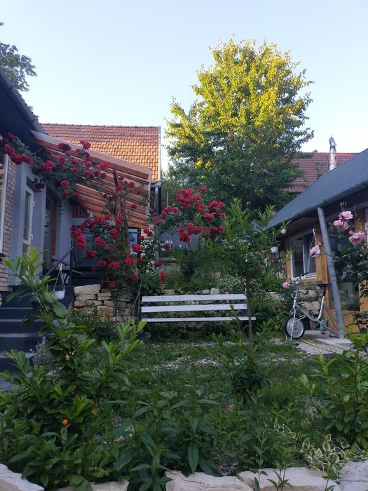 Vând casă în zonă de munte