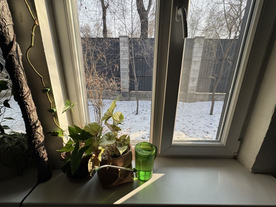 Оценка для банка и налоговой