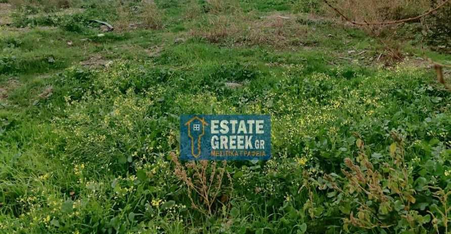 Продава се Парцел в Пловдив, Филипово - 795 кв.м за 416 €/кв.м - Снимка #2