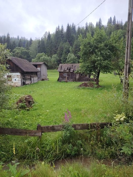 Teren intravilan Dorna Arini Rusca
