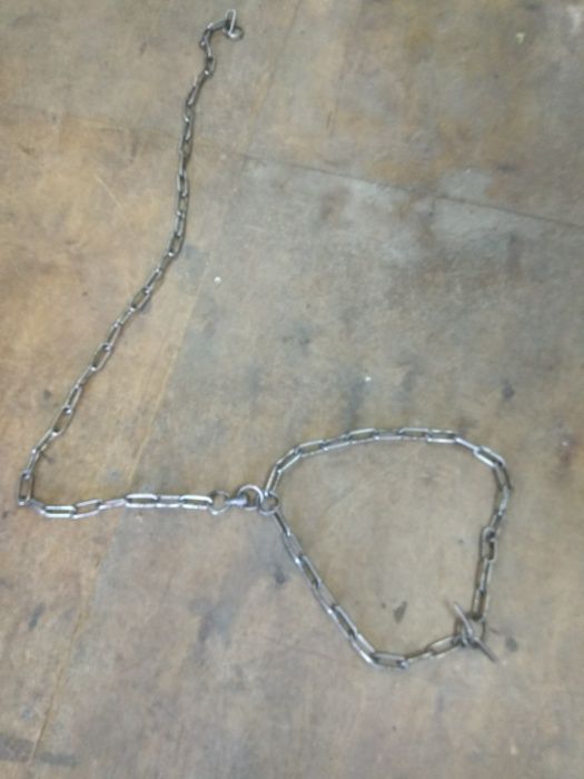 Цепь привязи КРС