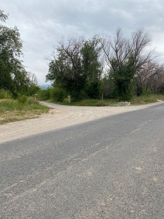 Продам яблоневый сад