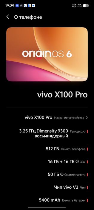 Vivo x100 pro 512/16