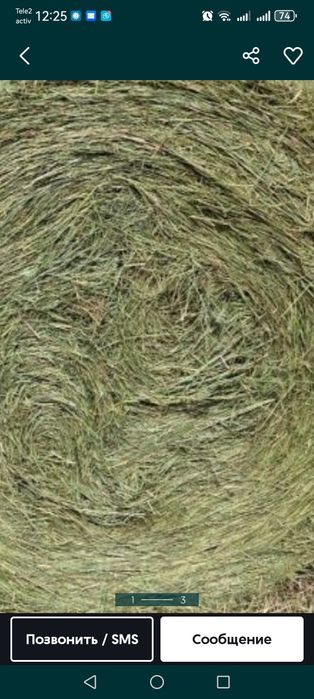 Продам сено свежий укос