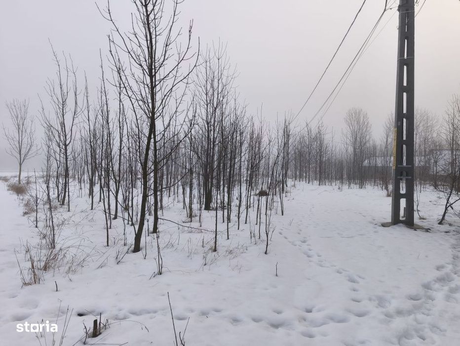 Teren intravilan , 5000mp, zona Negostina, Siret