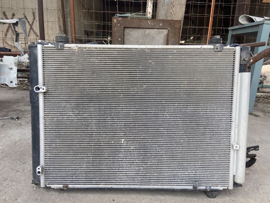 Радитор альфард