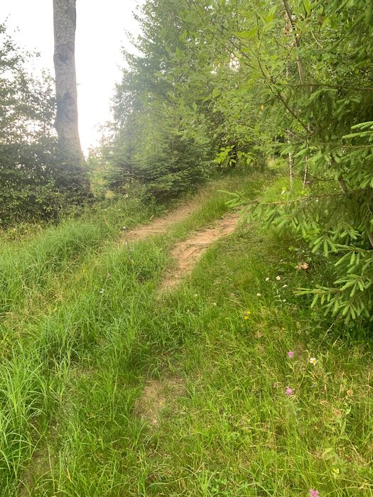 Vânzare teren intravilan 9200 mp