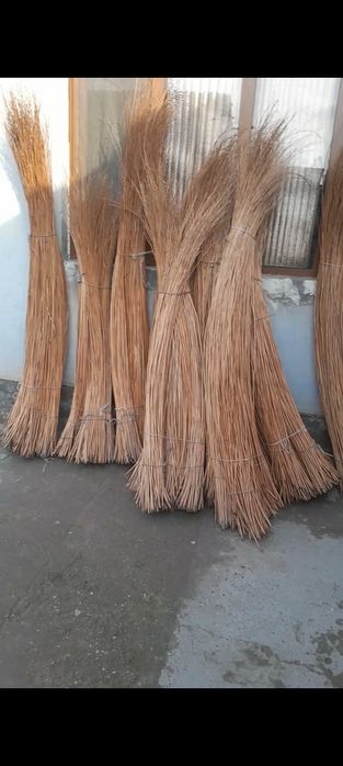 Тол новдаси сотилади