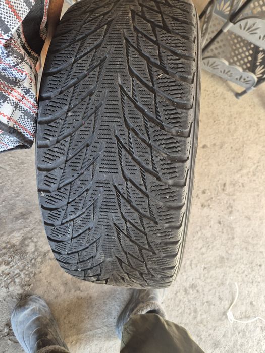 б. у шини липучка