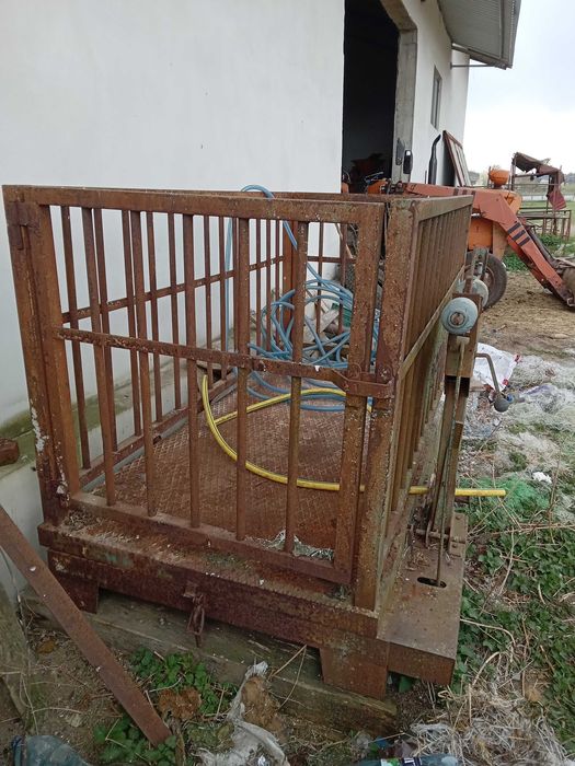 Cantar pentru animale