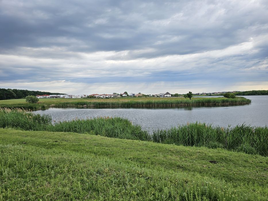 Vând teren amplasat   pe  malul lacului   Mogoșoaia