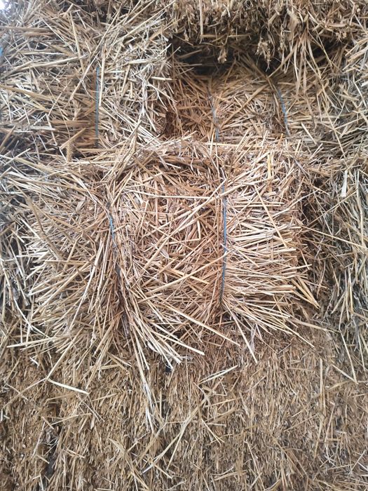 Baloți paie grau și orzoaica, baloți lucerna și fan