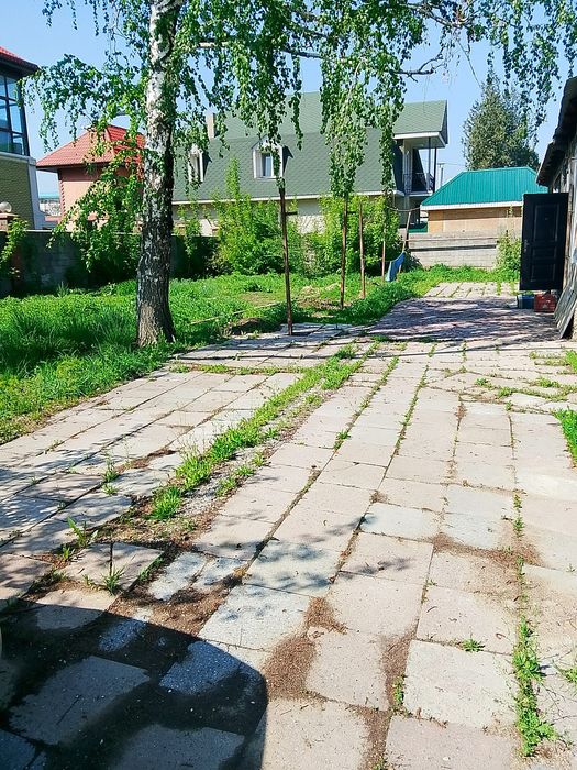 сдам дом каскелене