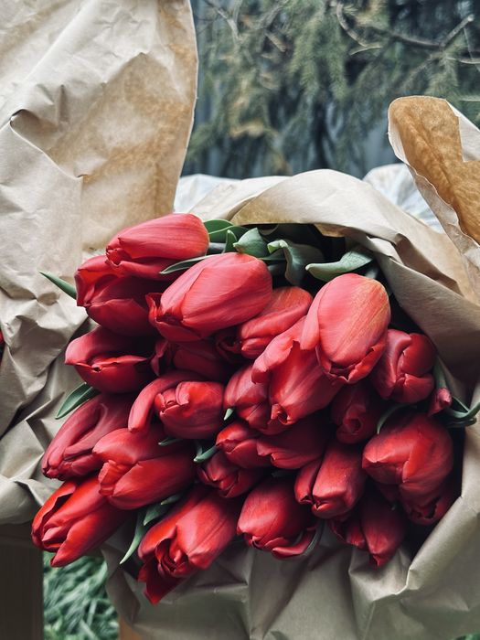 Тюльпаны 5 видов