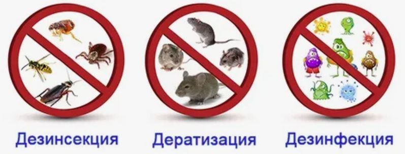 Dezinfeksiya. Дезинфекция хизмат. Xashorotlarni yoq qilish xizmati