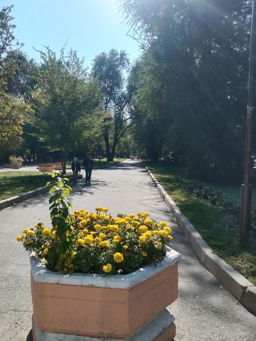 Сдам 2ух комн квартиру