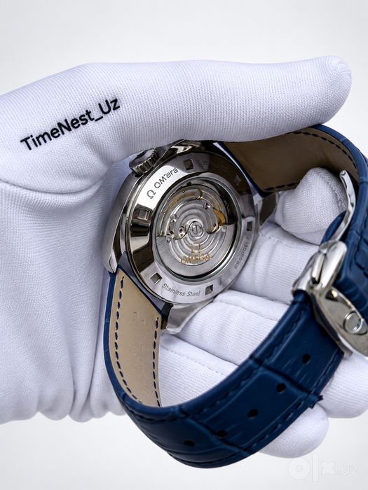 Omega Seamaster Aqua Terra Watch