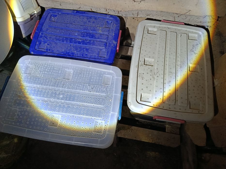 Продам вермиферма (червей)