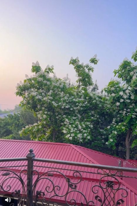 Дом, собственник. 8 сотки. 8 комнат. 1 большой холл