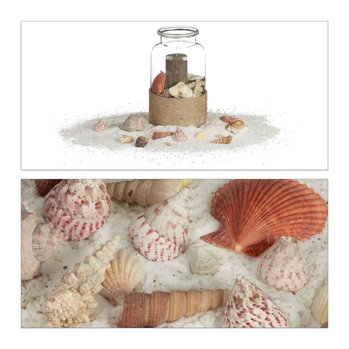 Set de Scoici si Melci de Mare pentru Decorare Artizanat Naturale 1kg