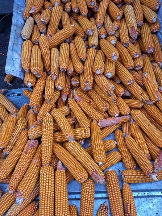 Vând graunte sticlos  calitatea 1,  1.3 kg , tel 0757126076