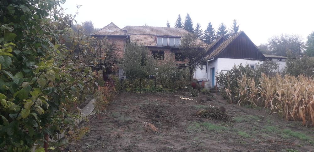 Vând casă Ceuașu de Câmpie, 50 mii €uro negociabil