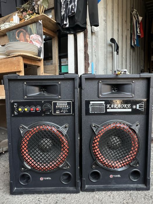 TOWEL Karaoke Professional Audio System
