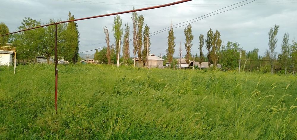 Yer uchaska dom земля дом участка курсой