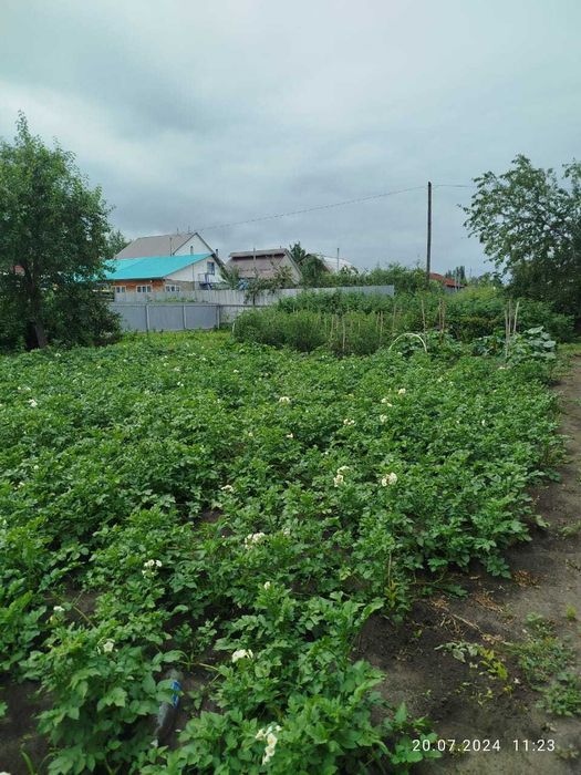 участок с времянкой 16 соток в Рабочем