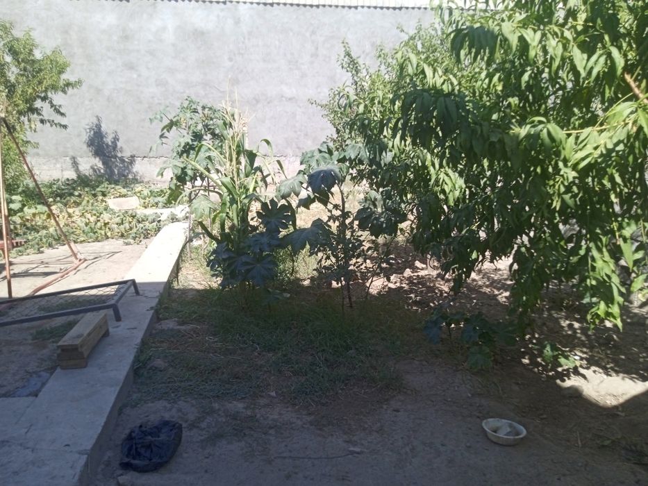 Уй сотилади барданколда